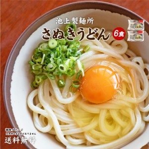 送料無料 池上製麺所特製 釜玉うどん 6食 ポイント消化 お試し  期間固定