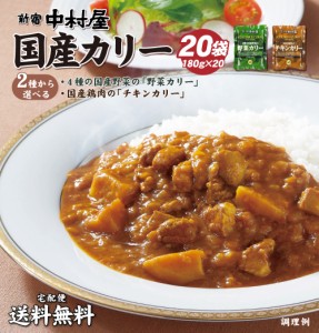 送料無料 新宿中村屋 国産カレー 野菜カレー チキンカレー 180g×20袋（北海道・沖縄・離島+1500円） アウトレット レトルト 訳あり