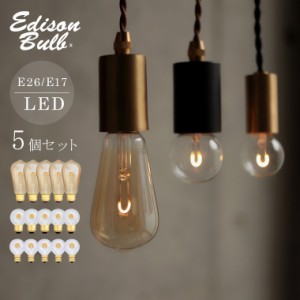 【5個セット】エジソン バルブ LED 電球 シングル 一本線 エジソンバルブLED 電球色 ガラス電球 エジソン電球 複数セット お得 ミニボー