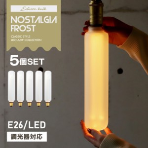 【5個セット】調光器対応 E26ノスタルジアBIGチューブフロスト エジソンバルブLED エジソン電球 フロストガラス 艶消し マット すりガラ