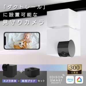 【セット】エジソンスマート 見守りカメラキューブ＋専用ダクトレール変換プラグセット ライティングレール 配線ダクト CUBE 防犯カメラ 