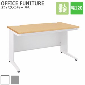OFFICE FUNITURE オフィスファニチャー 平机 幅120cm (デスク オフィス 机 フリー 平机 SOHO 事務所 シンプル 作業 法人限定 スチール