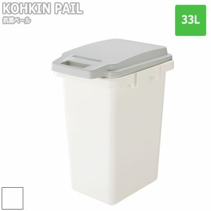 KOKIN PAIL 抗菌ペール 33L　(ダストボックス ゴミ箱 ごみ箱 オムツ くず入れ 防臭抗菌 清潔 衛生的 ホワイト グレー シンプル 国産 日本