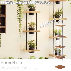 HangingPlanter  ハンギングプランター ５段　(ガーデニング 屋内栽培 観葉植物 プランター 室内ガーデニング 壁掛け 北欧)