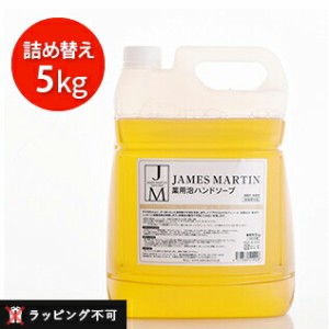 【枚数限定600円オフクーポン】ジェームズマーティン 薬用泡ハンドソープ 詰め替え用 5kg [james martin 薬用ハンドソープ 業務用 ジェー