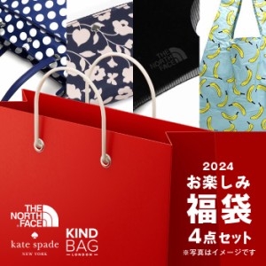 スプリング福袋 ケイトスペード 福袋 バッグ 財布 4点セット Kate Spade + ノースフェイスマスク+ブランドエコバッグ ブランド ハッピー