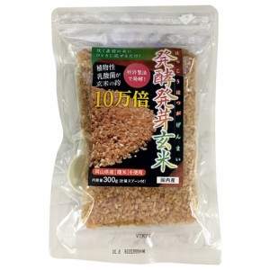 【発酵発芽玄米 300g】玄米 無洗 米【meru2】送料無料 ビタミン ミネラル 食物繊維 植物性乳酸菌 GABA 酵素 特許製法の発酵 効果 無添加