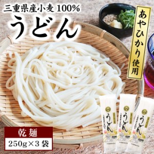 1000円ポッキリ 送料無料 うどん 乾麺 250g×3袋 セット 三重県産小麦100% あやひかり 使用 うどん 長期保存 食品 お試し ポスト投函便で