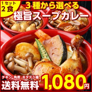 カレー レトルト【3種から選べる 北海道極旨スパイシー.スープカレー2食.】レトルトカレー スパイス スパイスカレー【B】