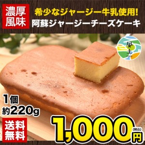 阿蘇 ジャージー牛乳 チーズケーキ 7-14営業日以内に出荷予定 ギフト お試し スイーツ 牛乳                                           