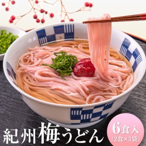 うどん 送料無料 梅うどん 6食セット (2食×3袋) うどん 生麺 送料無料 《7-14営業日以内発送予定(土日祝日を除く)》　　　　　　　　　