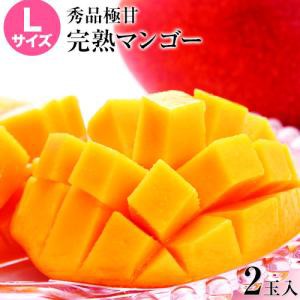 宮崎県産 完熟マンゴー マンゴー 2玉 化粧箱入り (Lサイズ:約310g〜約349g) 送料無料 《6月下旬-7月上旬頃より発送予定》　　　　　　　