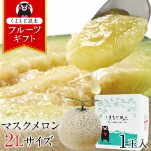 メロン ギフト 九州産 マスクメロン 1玉【秀品：2Lサイズ】1玉約1.2kg以上 7-14営業以内発送予定(土日祝除く) ギフト                   