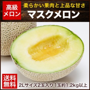 メロン 【送料無料】九州産 マスクメロン 2玉【秀品：2Lサイズ】1玉約1.2kg以上×2玉 7-14営業以内発送予定(土日祝除く)　　　　　　　　