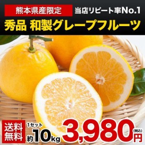 秀品 和製グレープフルーツ 10kg 送料無料 熊本県産 河内晩柑 ジューシー みかん 送料無料 3-7営業日以内に出荷予定（土日祝日除く）