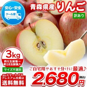 青森 リンゴ りんご 3kg 訳あり 送料無料 クール便 家庭用 林檎 青森県産 1-5営業日以内に出荷予定（土日祝除く） プレミアム　　　　　