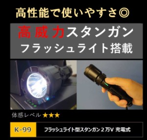 フラッシュライト型スタンガン K-99 最大20,000ボルト USB充電式 送料無料 女性におすすめ 防犯対策 煽り運転トラブル 護身用