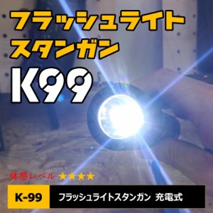 フラッシュライト型スタンガン K-99