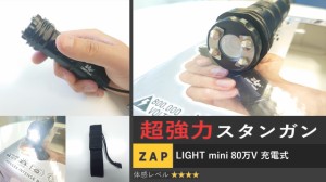 スタンガン ZAP ライトミニ 80万ボルト 充電式 送料無料 最安値 今すぐ簡単に出来る防犯対策 護身グッズ 防犯グッズ 新生活に。