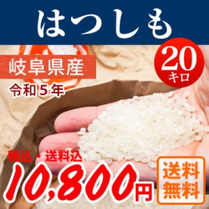 令和5年産 岐阜県産はつしも 白米20kg【送料無料※北海道除く】 【沖縄・一部離島配送不可】