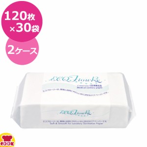 大富士製紙 エコフローリー(流せるタイプ) （120枚入×30袋）×2ケース（送料無料、代引不可）