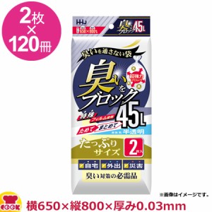 HHJ 臭いブロック袋 45L 白半透明 厚0.03mm 2枚×120冊 AB44（送料無料、代引不可）