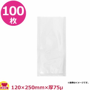 石崎電機 エンボス付ナイロンポリ袋 120×250mm×厚75μ×100枚 PAP-012025-B（代引不可）