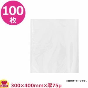 石崎電機 エンボス付ナイロンポリ袋 300×400mm×厚75μ×100枚 PAP-030040-B（代引不可）