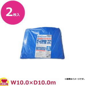 サンキョウプラテック ブルーシート #3000 厚手 10m×10m 2枚入 BS-30100100（送料無料、代引不可）