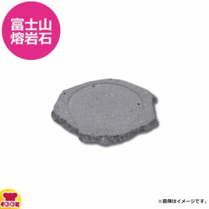 テスク 富士山熔岩石 熔岩プレート 中 ST-202S（送料無料、代引不可）