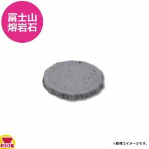 テスク 富士山熔岩石 熔岩プレート 小 ST-203S（送料無料、代引不可）