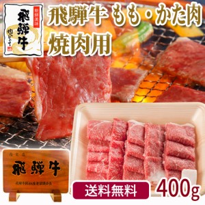 送料無料 肉 和牛 飛騨牛もも・かた肉 焼肉 400g 肉 飛騨牛 牛肉 ブランド牛 黒毛和牛 おもてなし 和牛 バーベキュー 自宅用 BBQ おうち