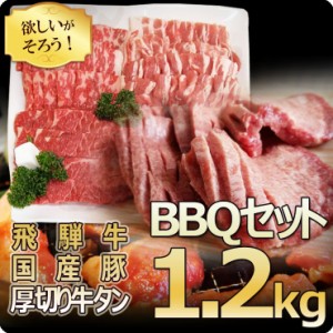  飛騨牛 国産豚肉 牛タン バーベキューセット 1.2kg！約４〜5人前 飛騨牛400g 国産豚肉600g 厚切り牛タン芯200g 送料無料  焼肉 肉 和牛 