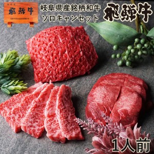 送料無料 飛騨牛入 ソロキャンセット 1人前 飛騨牛もも肉ステーキ100g 飛騨牛ばら肉カルビ100g 牛タン100g 飛騨牛＆牛タン バーベキュー