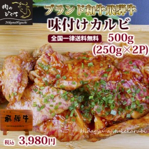 飛騨牛カルビ味付250g×2パック 冷凍 肉 焼肉 飛騨牛 カルビ 味付 味付焼肉 和牛 焼き肉 バーベキュー BBQ お取り寄せ グルメ お手軽 焼