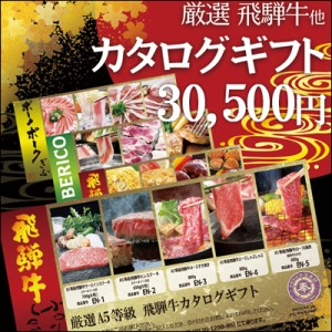 カタログギフト 肉 ギフト 選べる！飛騨牛A5等級カタログギフト 30,500円 送料無料 ギフト券 内祝 御礼 御祝 贈答品 進物 お返し 結婚式 