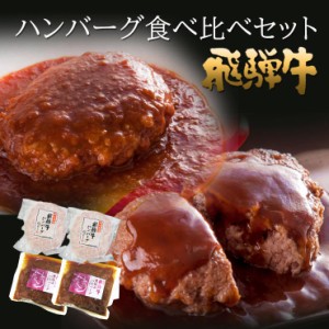 遅れてごめんね ハンバーグ  ギフト 父の日 プレゼント 肉 牛肉 飛騨牛2種のハンバーグセット 飛騨牛ハンバーグ２個・飛騨牛煮込みハンバ