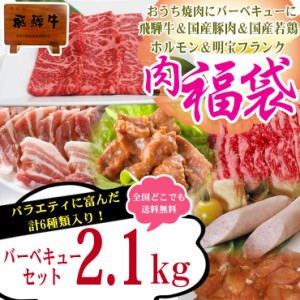 送料無料 飛騨牛入バーベキューセット2.1kg 焼肉 焼き肉 牛肉 鶏肉 豚肉 ウインナー カルビ もも・かた肉 ばら肉 味付焼肉 豚ホルモン 明