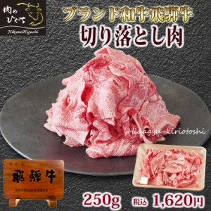 訳あり 飛騨牛 切り落とし 250g×1パック 普段使い 便利 切り落とし肉 お値打ち ワケアリ わけあり 肉 飛騨牛 牛肉 和牛 牛丼 肉じゃが 