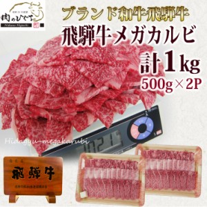 送料無料 メガ盛 飛騨牛 カルビ 焼肉用 1kg 500gx2 約４〜5人前 肉 牛肉 焼肉 1キロ 黒毛和牛 バーベキュー BBQ おもてなし 焼き肉 おう