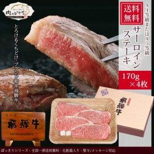 肉 ギフト  父の日 プレゼント ぽっきり 和牛 牛肉  飛騨牛 サーロインステーキ 170g位×4枚 化粧箱入 A4等級またはA5等級 送料無料 黒毛