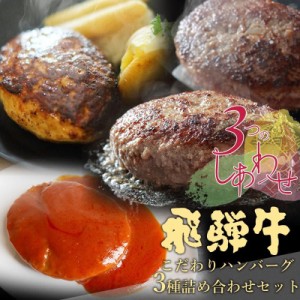 父の日 肉 ギフト 飛騨牛 ハンバーグ 各2個 食べ比べ 詰め合わせ ギフト箱入 牛肉 黒毛和牛 内祝 お返し 合格祝 卒業祝 御祝 お取り寄せ