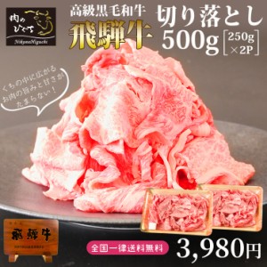 送料無料 訳あり 飛騨牛 切り落とし肉250g×2ｐ 500g 便利な きりおとし肉 お値打ち わけあり 肉 飛騨牛 牛肉 和牛 牛丼 肉じゃが カレー