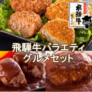 肉  ギフト 父の日 プレゼント 飛騨牛バラエティグルメセット コロッケ ミンチカツ ハンバーグ・煮込みハンバーグ 送料無料  プレゼント 