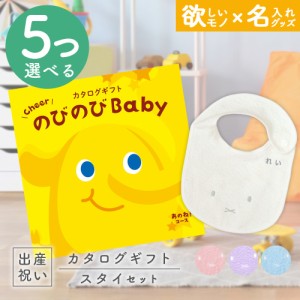 出産祝い カタログギフト のびのびBaby 5つ選べる あのね！コース ＆ 今治タオル 名入れミッフィースタイセット　男の子/女の子/ビブ/赤