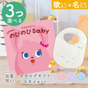 出産祝い カタログギフト のびのびBaby 3つ選べる だっこ！コース ＆ 今治タオル 名入れミッフィースタイセット　男の子/女の子/ビブ/赤