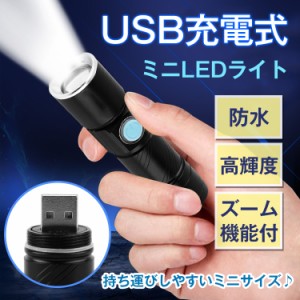 USB充電式 ミニ 小型 LEDライト 明るい 防水 高輝度 コンパクト ズーム機能 電池交換不要 省エネ 災害 アウトドア 散歩 ny225