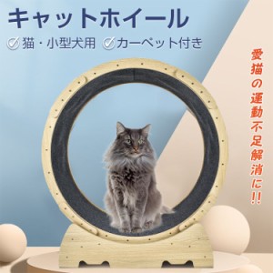 猫 トレッドミル キャット ホイール 安い ローラー ルームランナー 回し車 観覧車 安全 エクササイズ おもちゃ ランニング ペット pt071