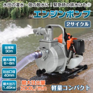 エンジンポンプ 2サイクル 2ストローク 全揚程30m 最大出力1.45kw 最大吐出量200L/min 吸水ポンプ 水害 農業 給排水 災害 灌水 散水 リコ