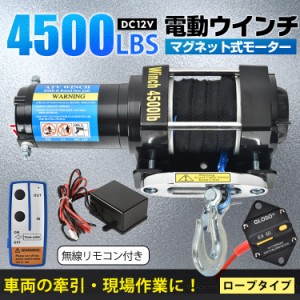 電動ウインチ 12v 4500LBS 電動 ホイスト ウインチ ロープタイプ 電動ウィンチ 引き上げ機 牽引 汎用 無線リモコン sg078